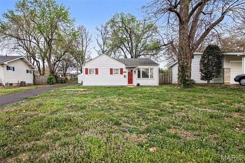 Photo of 1725 Saint Catherine Street, Florissant, MO 63033 (MLS # 26018689)