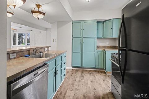 Tiny photo for 1725 Saint Catherine Street, Florissant, MO 63033 (MLS # 26018689)