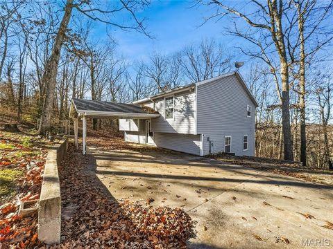 Photo of 187 Wildwood Drive, Camdenton, MO 65052 (MLS # 25078915)