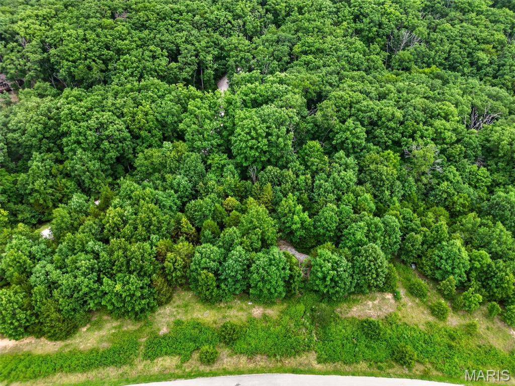 2482 Alpine Summit Drive