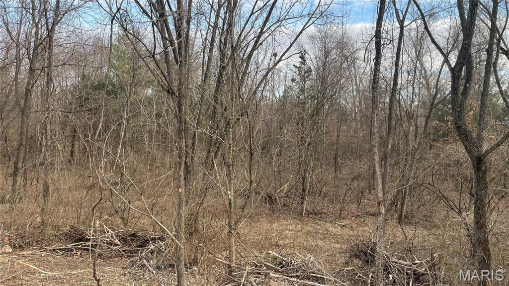 Rustic View Condo - Land