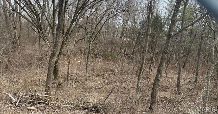 This 4.35 acres is located near Dierbergs Market, Mehlville Schools, and transportation. There is currently a home on the property located on 1133 Fain Dr.