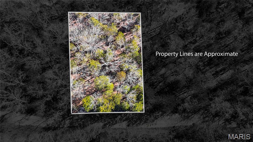 Raintree Plantation Sec 24 - Land