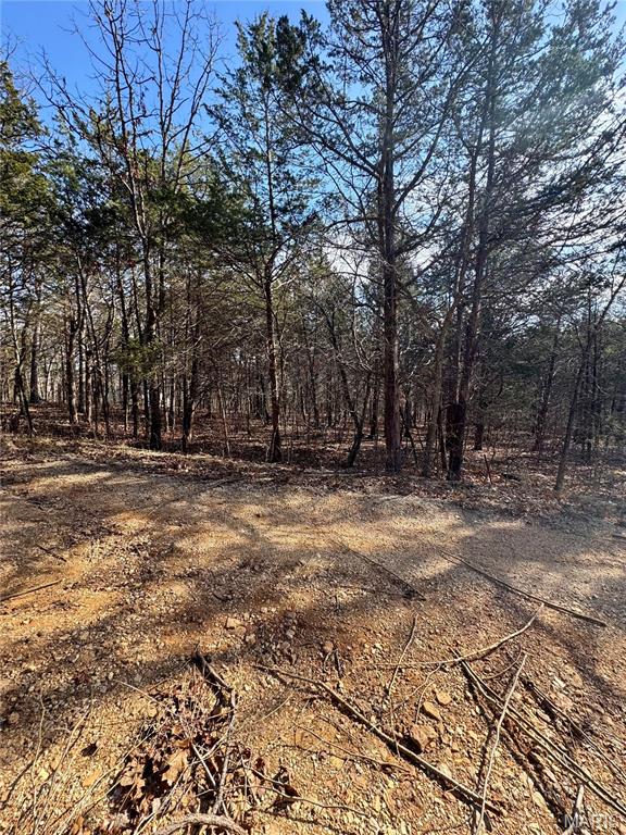 Raintree Plantation Sec 24 - Land