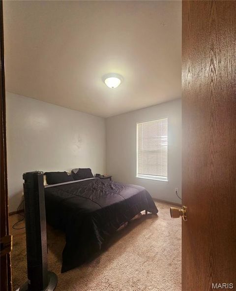 Tiny photo for 201 Whitetail Crossing Drive, Troy, MO 63379 (MLS # 26013901)