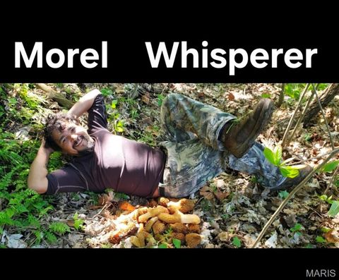 Tiny photo for 1140 Keystone Trail Drive, Wildwood, MO 63005 (MLS # 25079505)