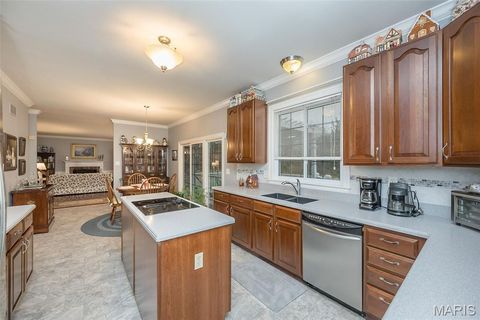 Tiny photo for 1140 Keystone Trail Drive, Wildwood, MO 63005 (MLS # 25079505)