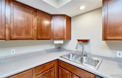 Tiny photo for 927 Claytonbrook Drive #3, Ballwin, MO 63011 (MLS # 25080409)