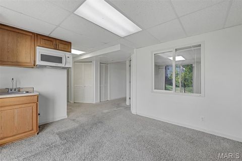 Tiny photo for 586 Brook Meadow Drive, Ballwin, MO 63021 (MLS # 25066384)