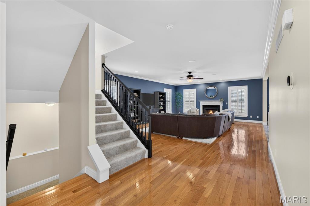 Avondale Blk 8 Lt Pt 9 Consolidation - Residential