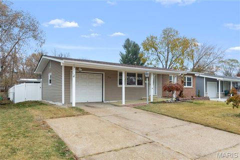 815 Holiday Avenue Hazelwood MO 63042