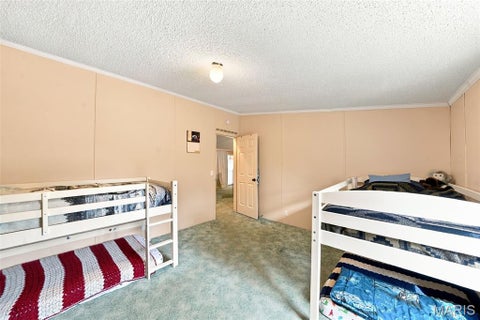 Tiny photo for 3437 Ripley #T1, Fairdealing, MO 63939 (MLS # 26069181)