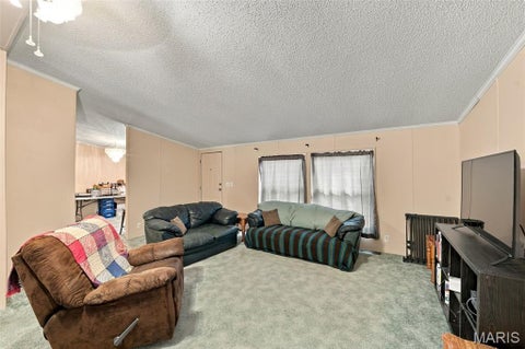 Tiny photo for 3437 Ripley #T1, Fairdealing, MO 63939 (MLS # 26069181)