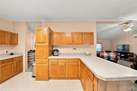 Tiny photo for 3437 Ripley #T1, Fairdealing, MO 63939 (MLS # 26069181)