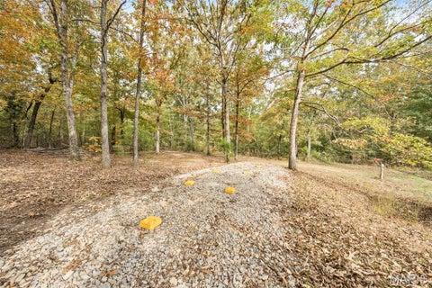 Tiny photo for 3437 Ripley #T1, Fairdealing, MO 63939 (MLS # 26069181)