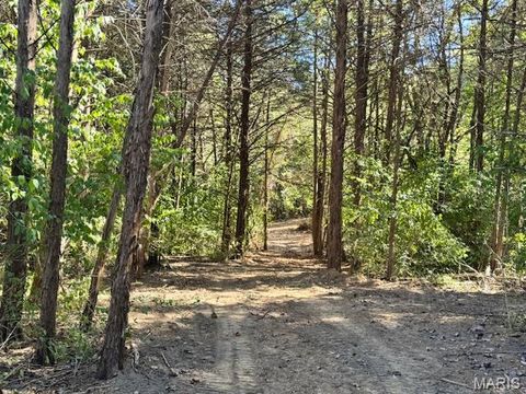 111 Elizabeth Court Wright City MO 63390