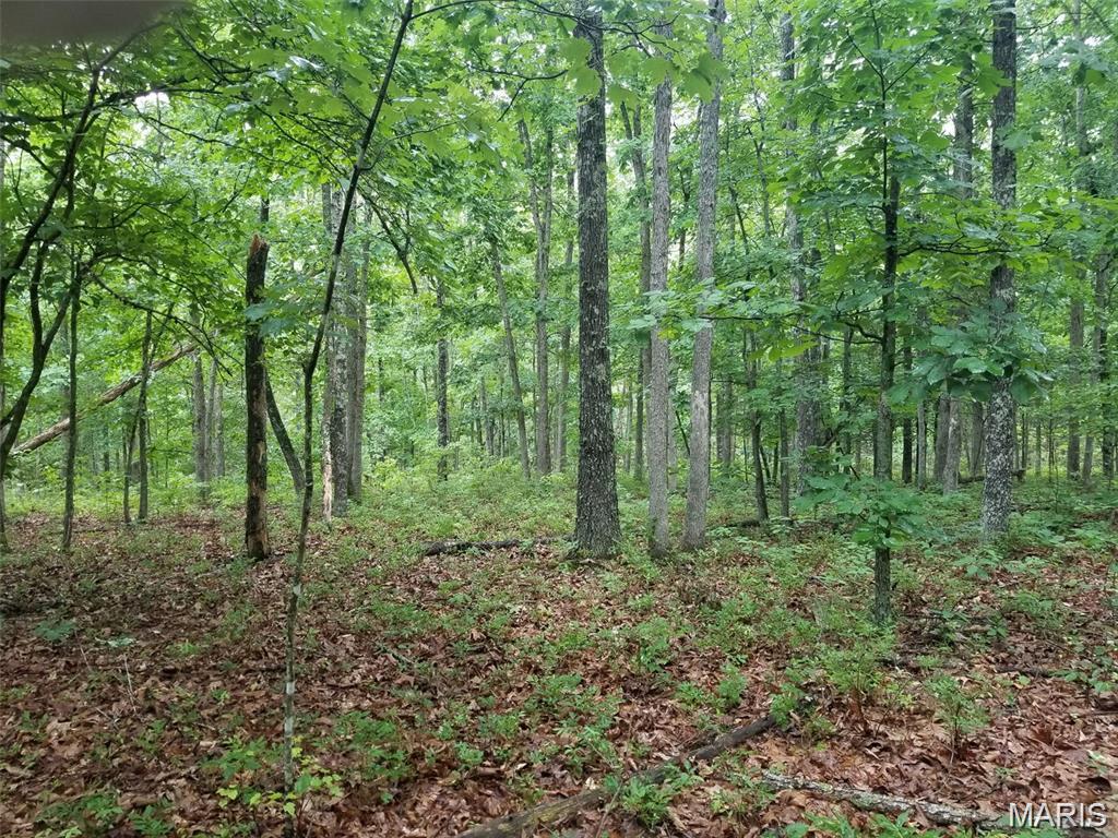 Lot 13 Hickory Ridge