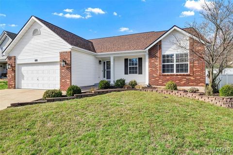 3233 Quervo Lane Imperial MO 63052