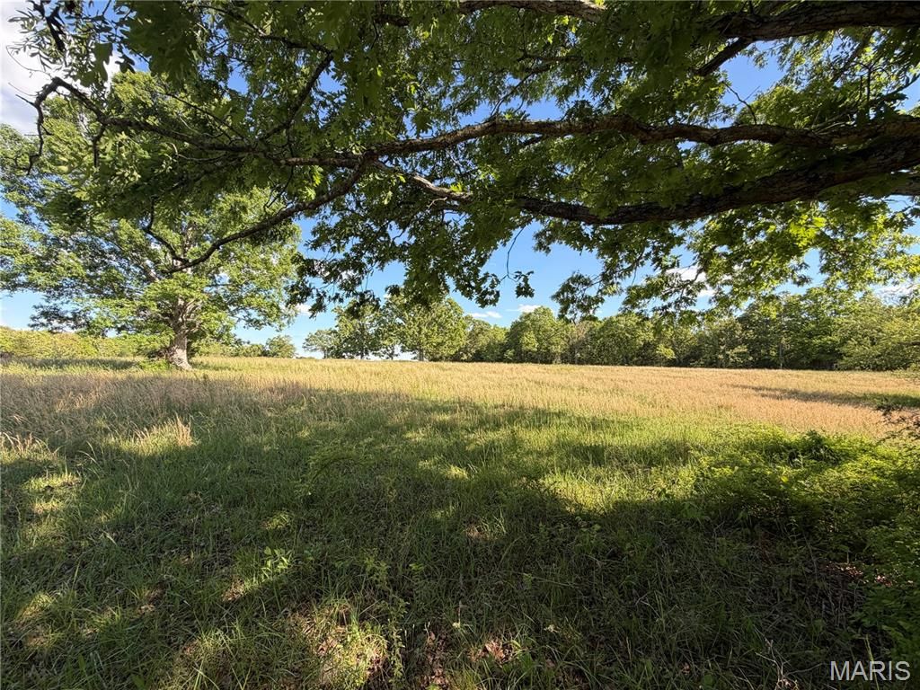 Photo of 5 County Rd 4215, Salem, MO 65560 (MLS # 26029253)