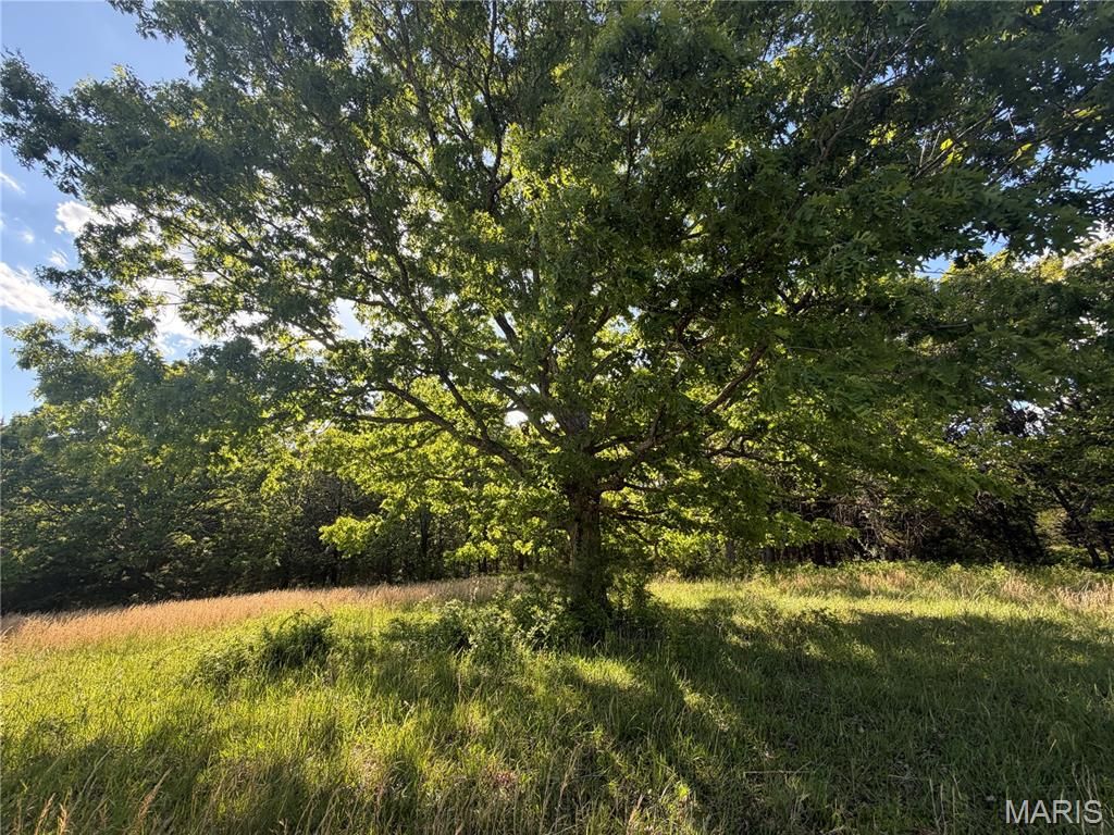 Photo of 5 County Rd 4215, Salem, MO 65560 (MLS # 26029253)