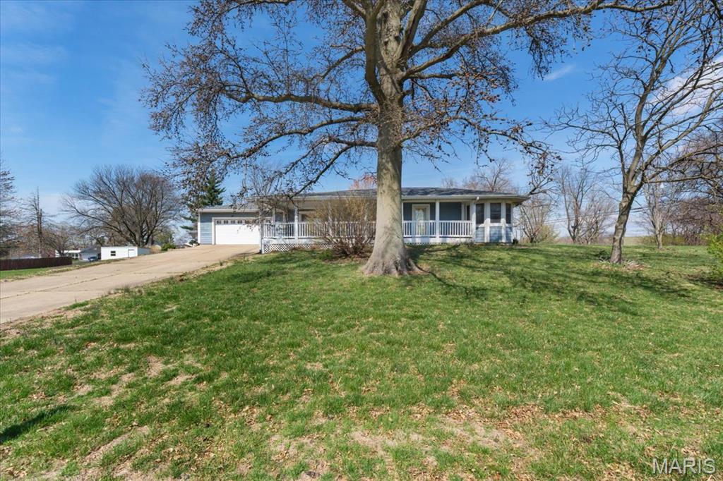 Kittie Martin - Residential