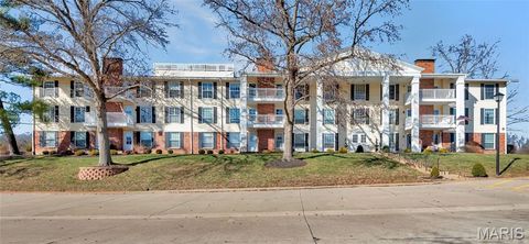 Photo of 15593 Bedford Forge Drive #6, Chesterfield, MO 63017 (MLS # 25068898)