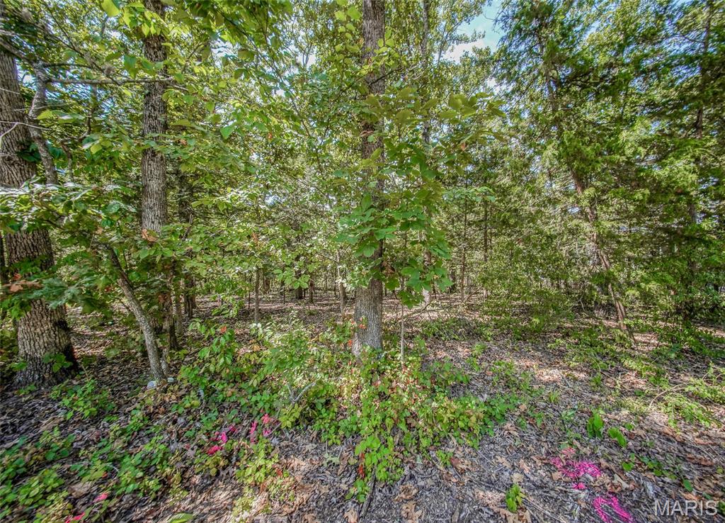 College Hills Resubdivision - Land