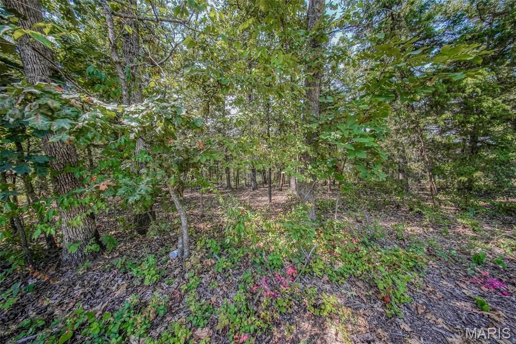 College Hills Resubdivision - Land