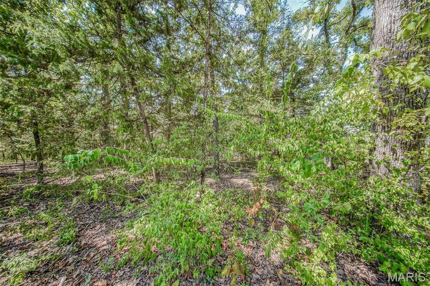 Discover the perfect spot to build your dream home in the desirable College Hills subdivision! This approximately .274 acre residential lot is ideally located at the end of a quiet street, offering both privacy and convenience. The lot is mostly wooded and level terrain. Just outside the city limits, you’ll enjoy a peaceful setting while still being close to shopping, dining, schools, and other amenities. Public water and sewer access are available, making this a fantastic opportunity to create the home you’ve always envisioned.