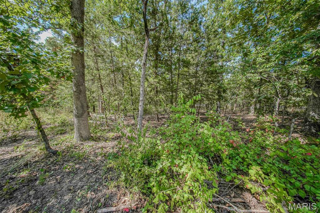 College Hills Resubdivision - Land