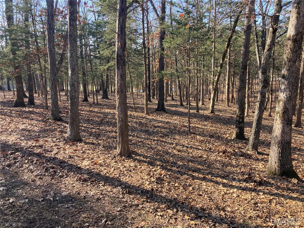 9916 Hawks Point Drive