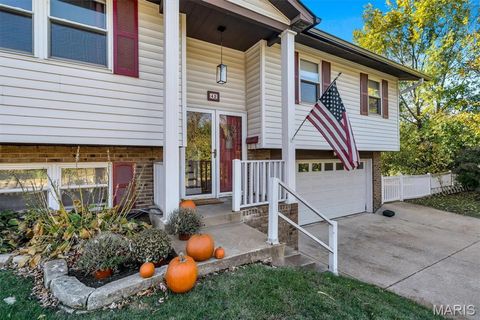 Tiny photo for 42 Chestnut Avenue, Webster Groves, MO 63119 (MLS # 25074407)