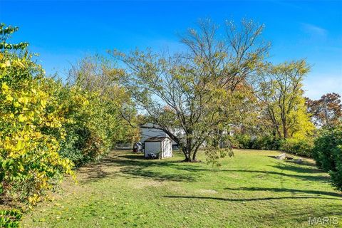 Tiny photo for 42 Chestnut Avenue, Webster Groves, MO 63119 (MLS # 25074407)