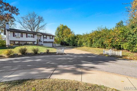 Tiny photo for 42 Chestnut Avenue, Webster Groves, MO 63119 (MLS # 25074407)