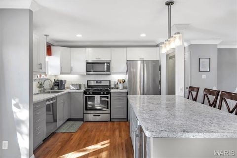 Tiny photo for 42 Chestnut Avenue, Webster Groves, MO 63119 (MLS # 25074407)