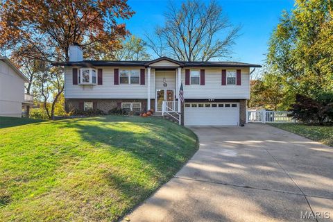 Photo of 42 Chestnut Avenue, Webster Groves, MO 63119 (MLS # 25074407)