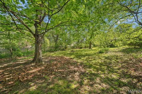Tiny photo for 232 Old Ballwin Road, Ballwin, MO 63021 (MLS # 25079601)