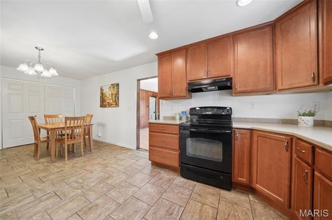 Tiny photo for 232 Old Ballwin Road, Ballwin, MO 63021 (MLS # 25079601)