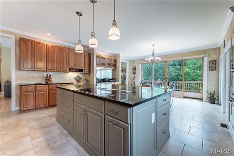 Tiny photo for 17659 Wildridge Drive, Wildwood, MO 63005 (MLS # 26007224)