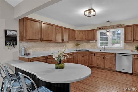 Tiny photo for 1210 Du Motier Drive, Ballwin, MO 63011 (MLS # 25081898)