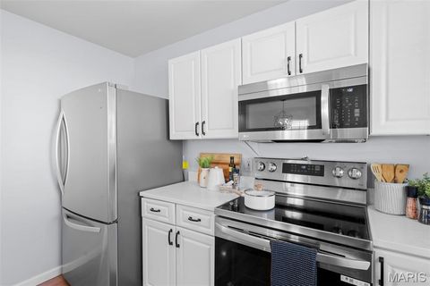 Tiny photo for 6315 Bradley Avenue, St Louis, MO 63139 (MLS # 25070511)