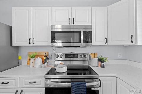 Tiny photo for 6315 Bradley Avenue, St Louis, MO 63139 (MLS # 25070511)