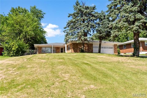 8713 Nyflot Avenue Hazelwood MO 63042