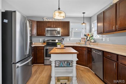 Tiny photo for 205 Pecan Bluffs Drive, Wentzville, MO 63385 (MLS # 26026311)