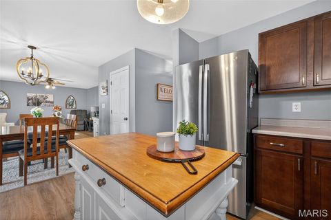 Tiny photo for 205 Pecan Bluffs Drive, Wentzville, MO 63385 (MLS # 26026311)