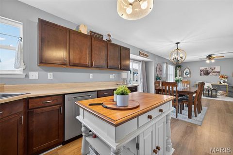 Tiny photo for 205 Pecan Bluffs Drive, Wentzville, MO 63385 (MLS # 26026311)