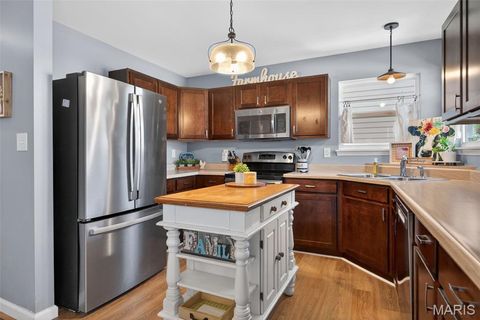 Tiny photo for 205 Pecan Bluffs Drive, Wentzville, MO 63385 (MLS # 26026311)