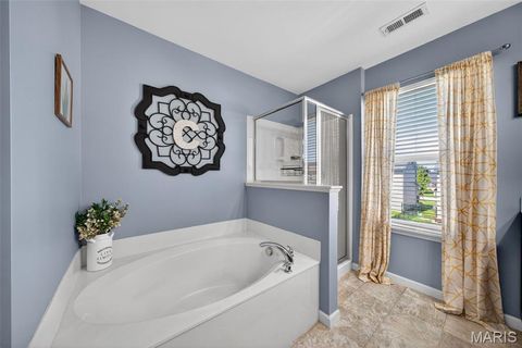Tiny photo for 205 Pecan Bluffs Drive, Wentzville, MO 63385 (MLS # 26026311)