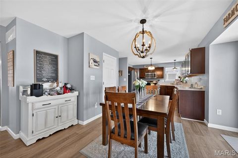 Tiny photo for 205 Pecan Bluffs Drive, Wentzville, MO 63385 (MLS # 26026311)