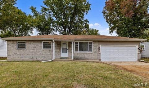 1433 Farmview Avenue Unincorporated MO 63138